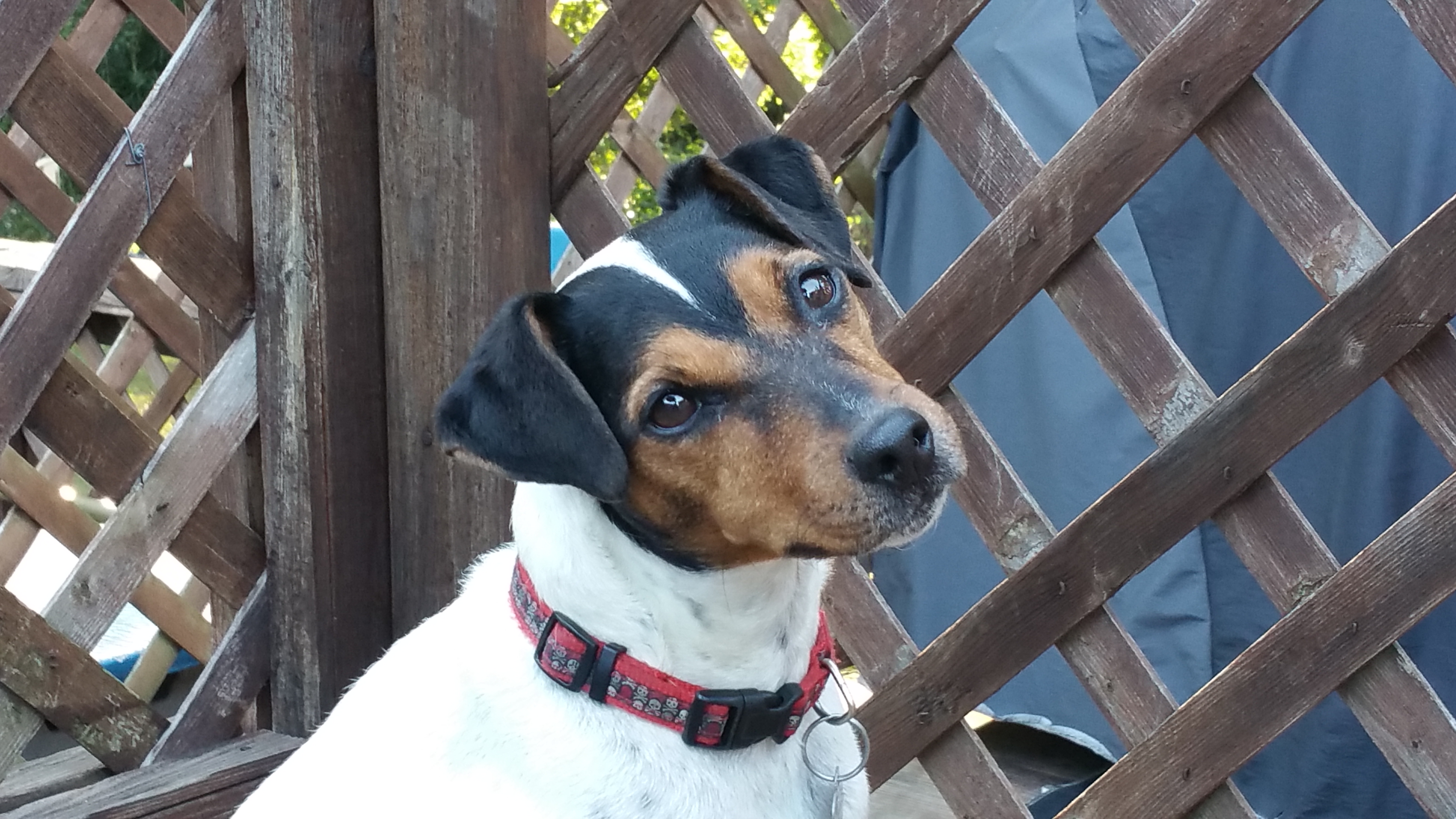 Photos by Kyle R Crookshank