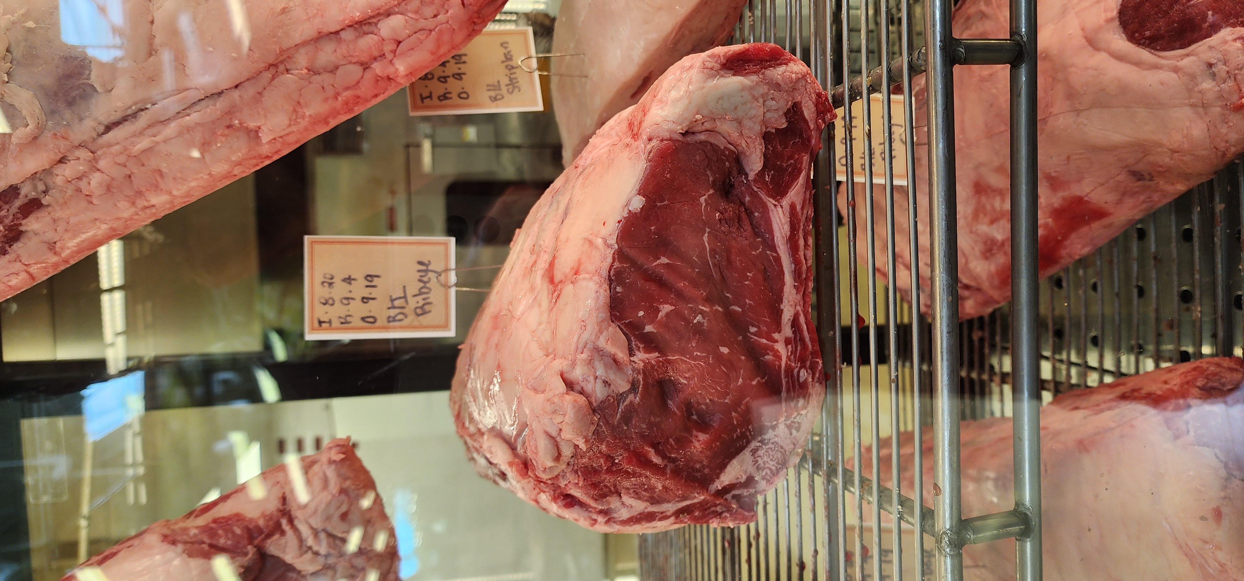 Photos by Kyle R Crookshank