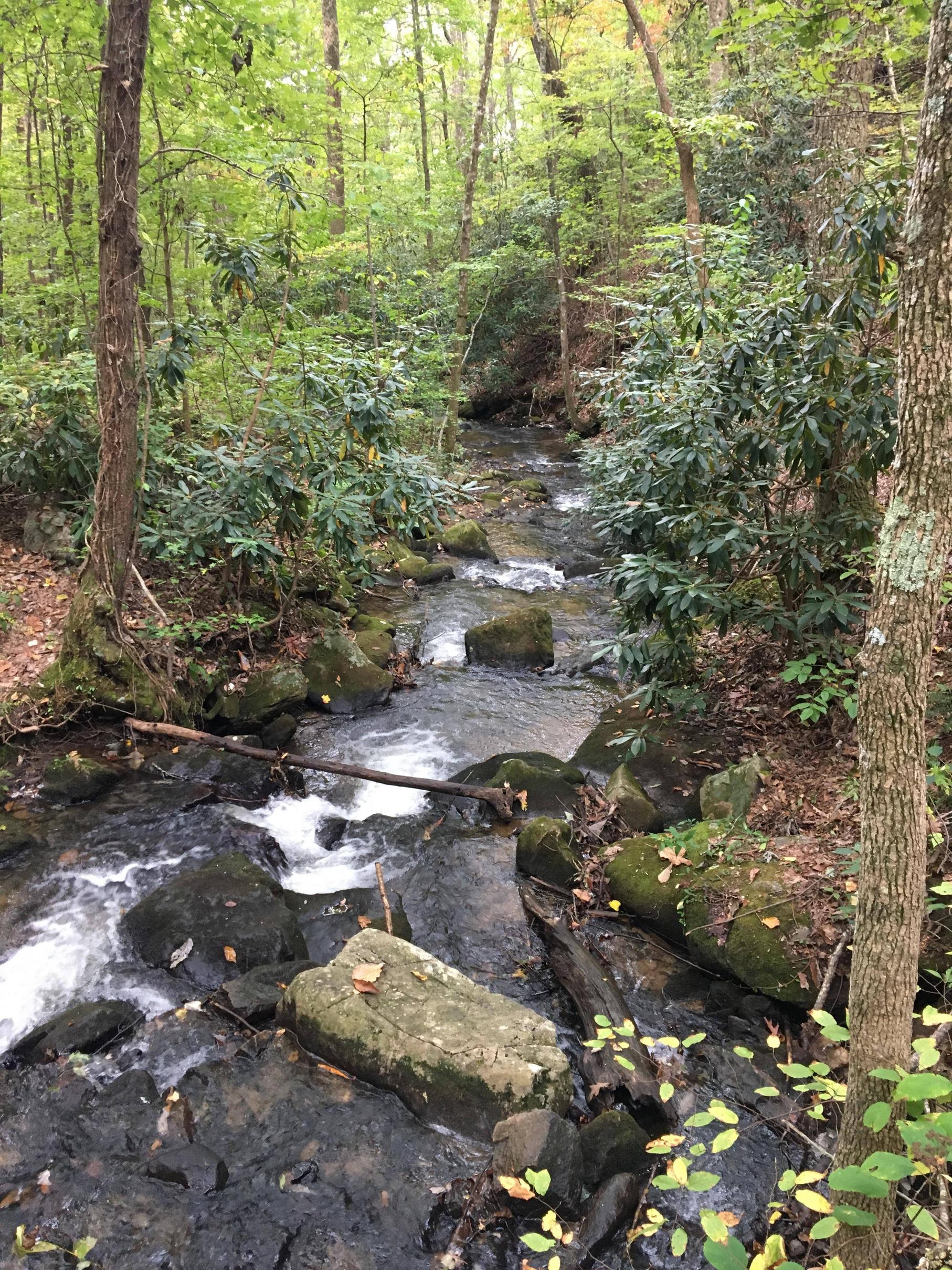 Photos by Kyle R Crookshank