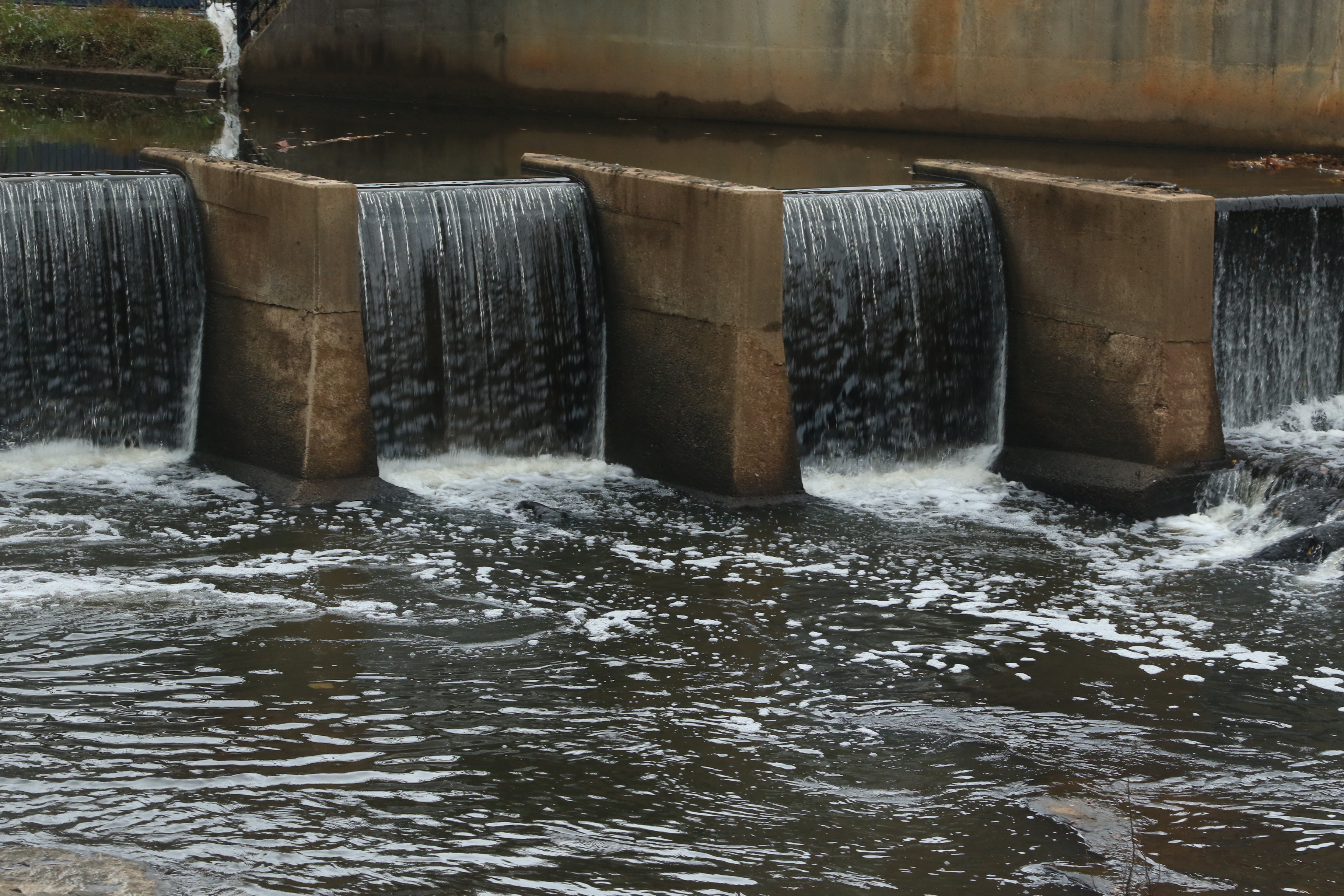 Photos by Kyle R Crookshank - Left and Right Arrow to Navigate Slides